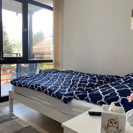 Kleines Einzimmer-Apartment 23 Bad Wildbad Zewnętrze zdjęcie
