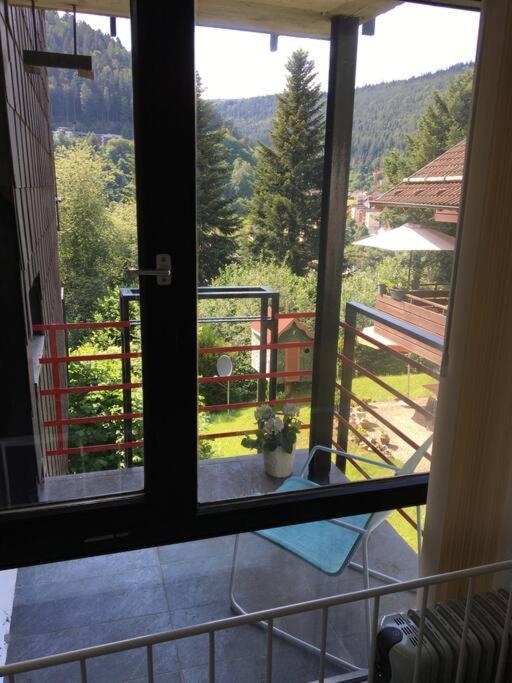 Kleines Einzimmer-Apartment 23 Bad Wildbad Zewnętrze zdjęcie