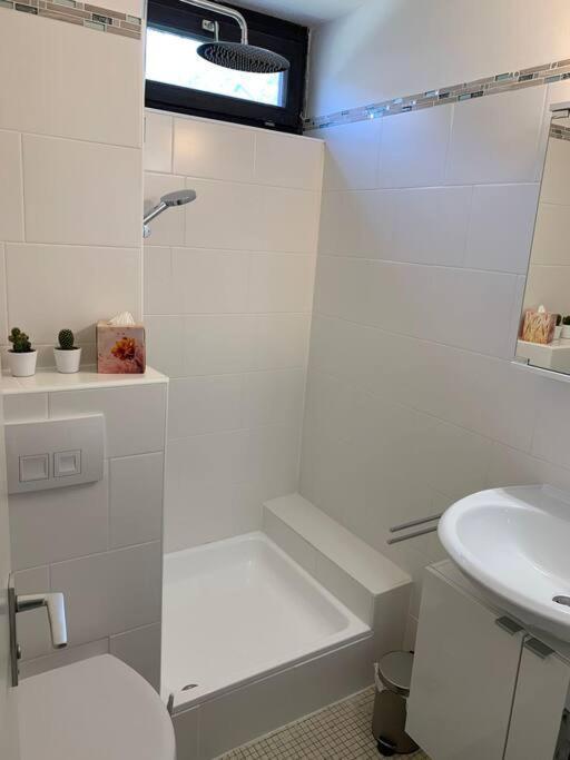 Kleines Einzimmer-Apartment 23 Bad Wildbad Zewnętrze zdjęcie
