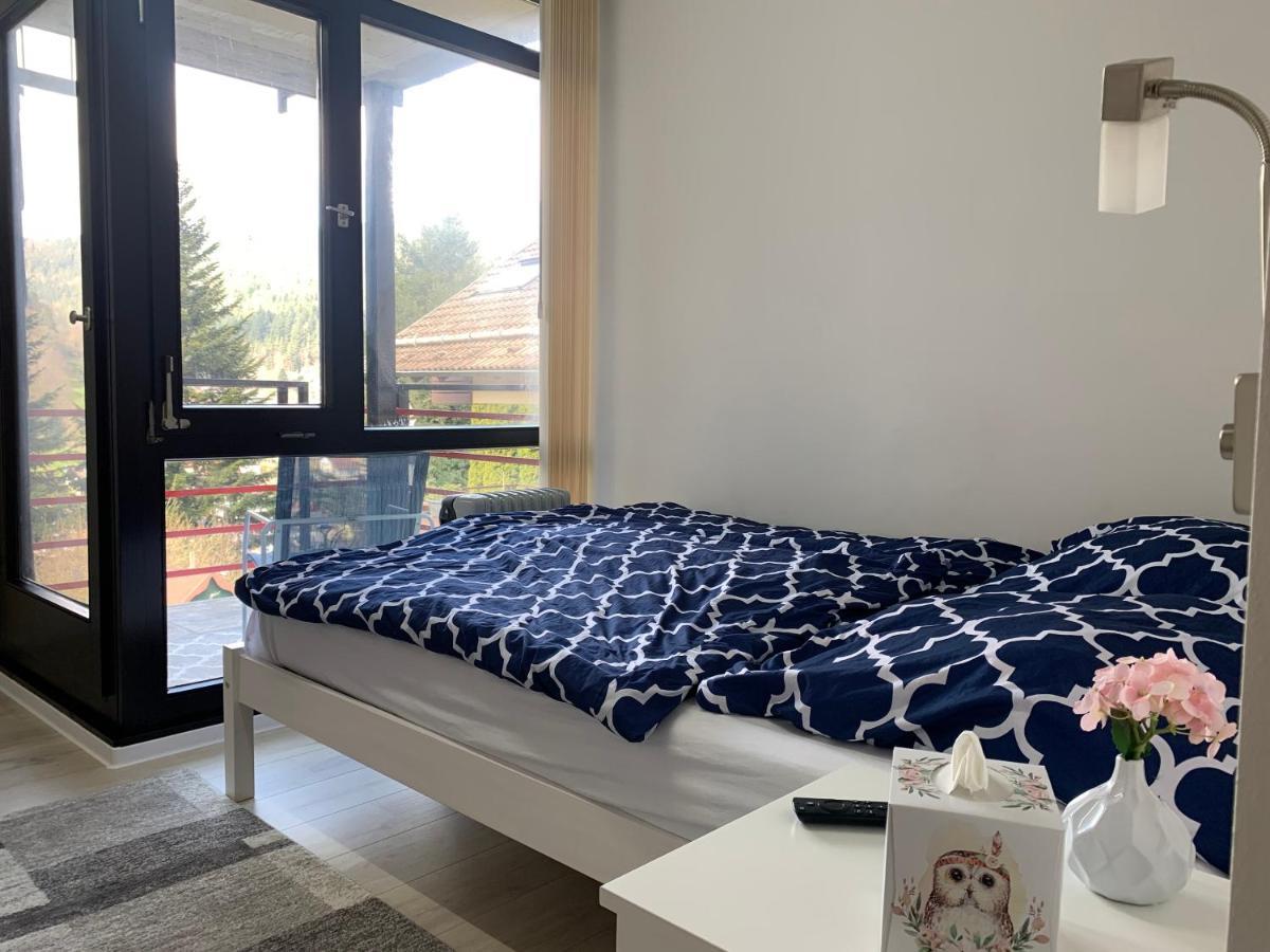 Kleines Einzimmer-Apartment 23 Bad Wildbad Zewnętrze zdjęcie